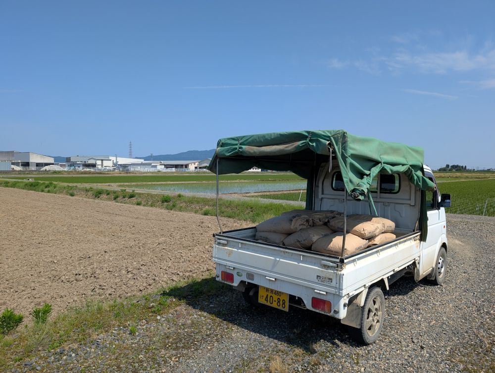 播種