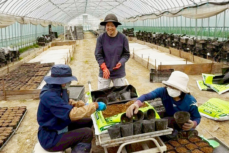 新潟農業_スタッフ募集中