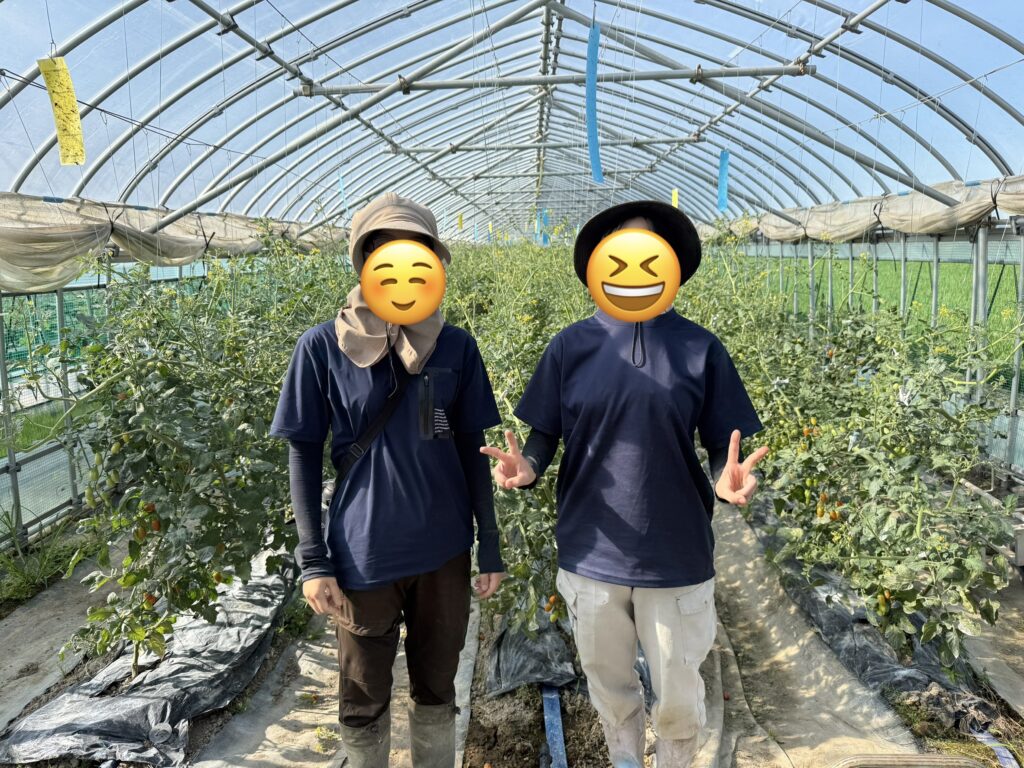 農業法人で働く社員2名